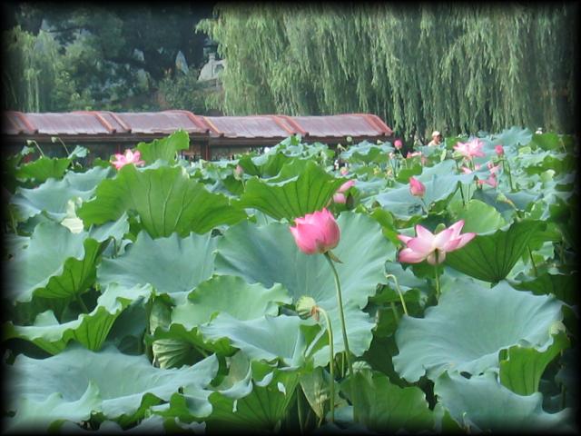 China2007_064