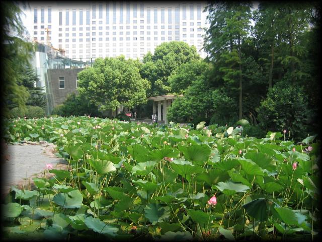 China2007_166