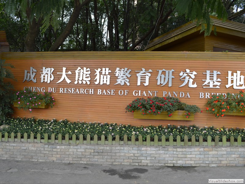 Panda Research Center and Park - Chengdu, China