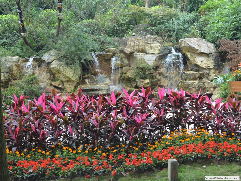 Flowers and waterfall are abundant in the park!