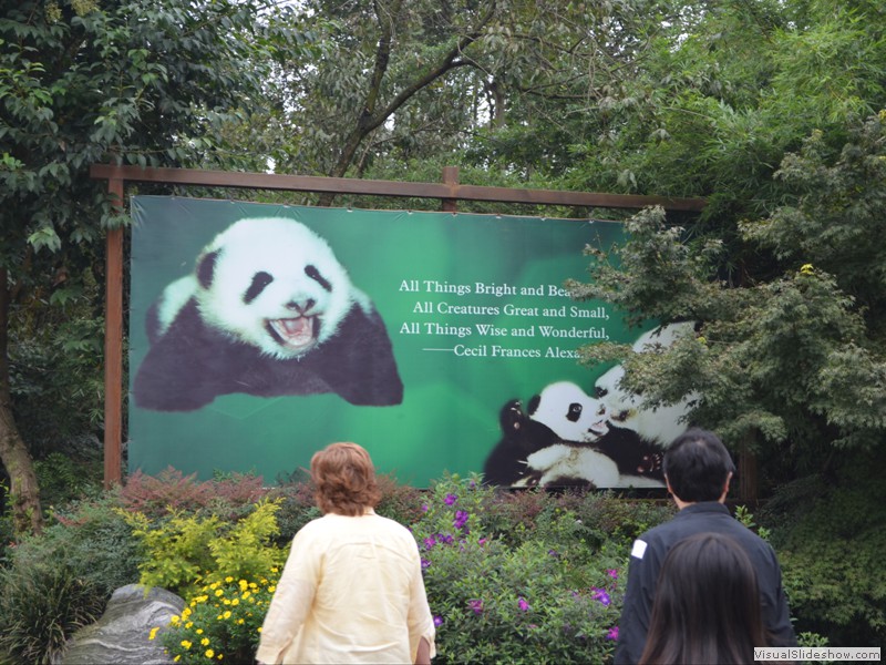 One of the Panda 'Billboards" in the park.<br/>