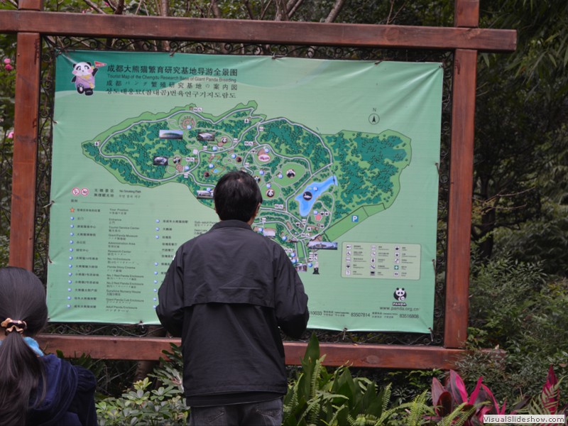 Checking out the map of the park.  It's huge.