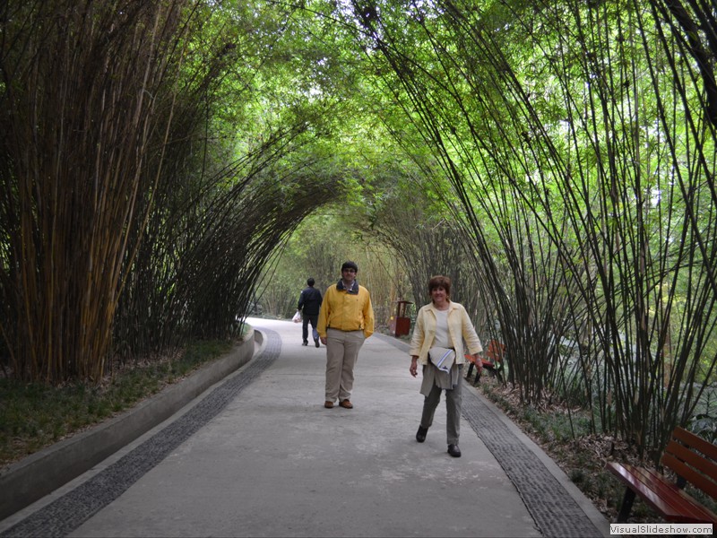 Brad and Claudette in a bamboo tunnel.