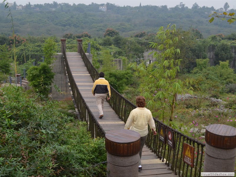 A shaky suspension bridge in the park.