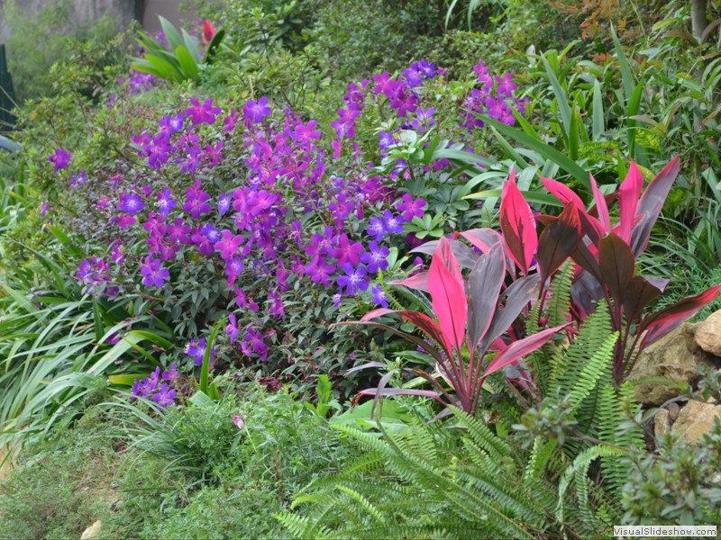 Lots of colorful flower beds.