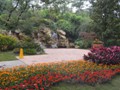 The park is a beautiful flower garden!