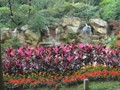 Flowers and waterfall are abundant in the park!