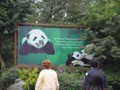 One of the Panda 'Billboards" in the park.<br/>