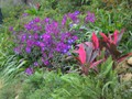 Lots of colorful flower beds.