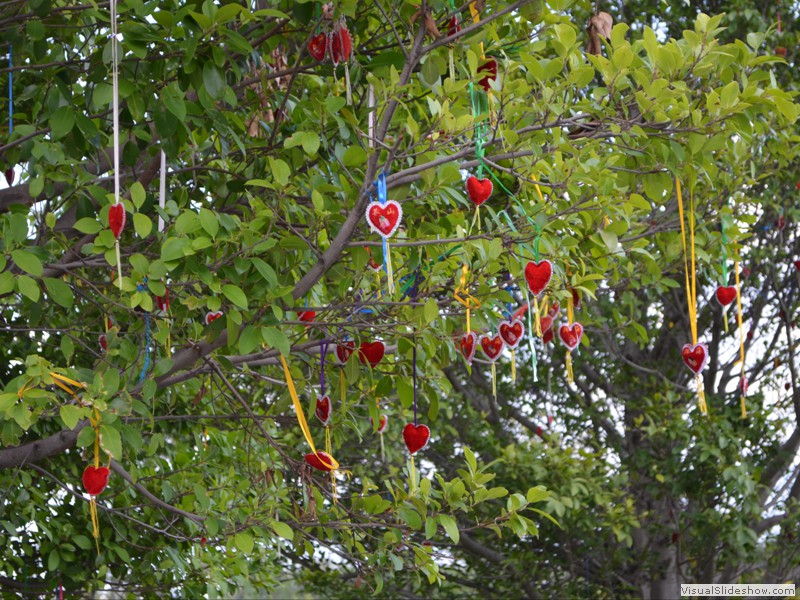 Love prayers hanging in the trees.
