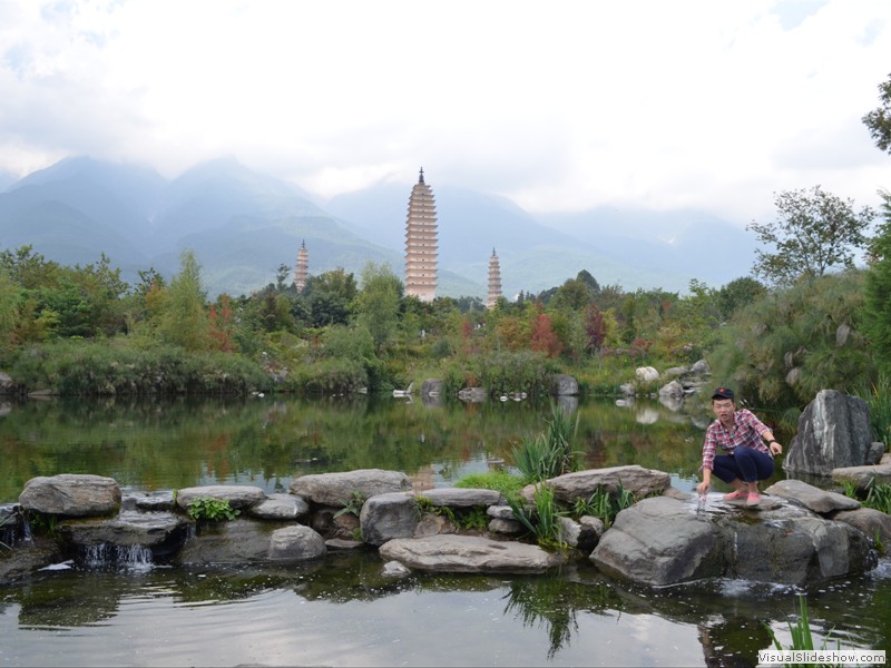 Another view of the pagodas from the lower park area.