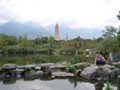 Another view of the pagodas from the lower park area.