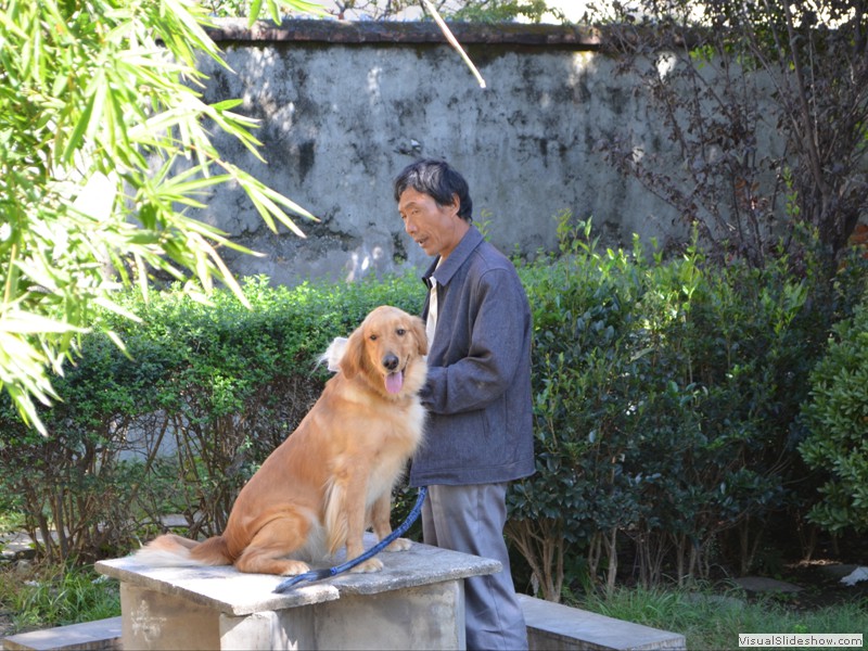 A man grooming his Golden Retriever. Reminded us of Brandy.<br/>