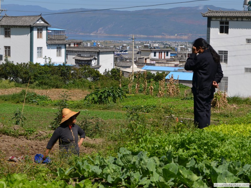 Lots of gardens suround the town.