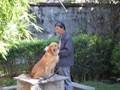 A man grooming his Golden Retriever. Reminded us of Brandy.<br/>