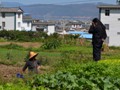 Lots of gardens suround the town.