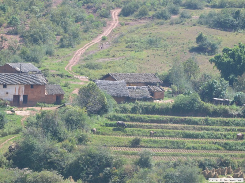 Small farms can be seen along train line.