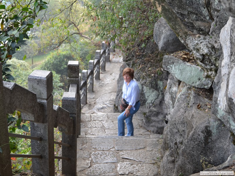 The long climb up the stairs to the top of the hill.