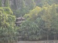 A pagoda netled in the side of Elephant Hill.