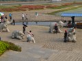 More elephant sculptures for the tourists to play with on the beach.