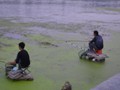 Men fishing in the river.