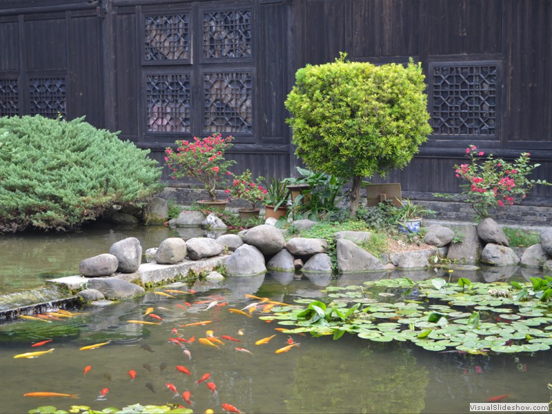 A small Koi pond in the park.
