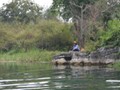 A man fishing along the river.