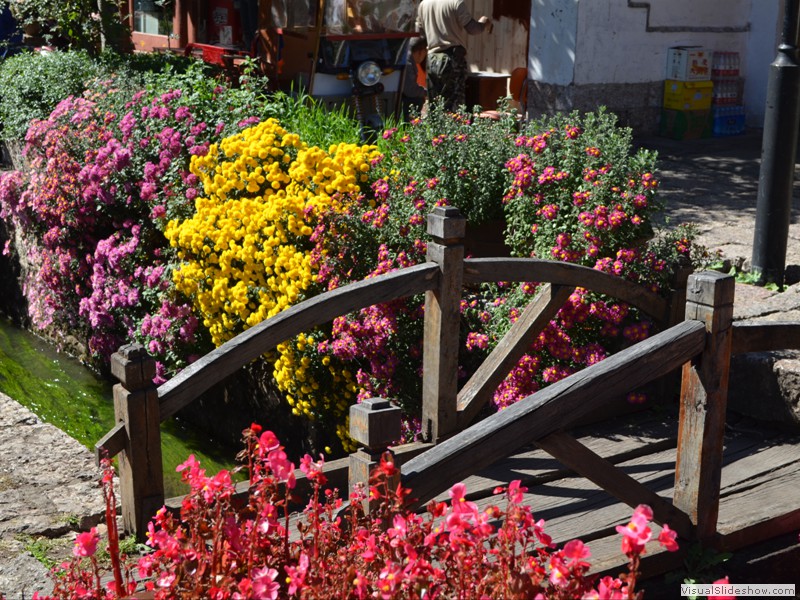 Flowers line the flowing streams.