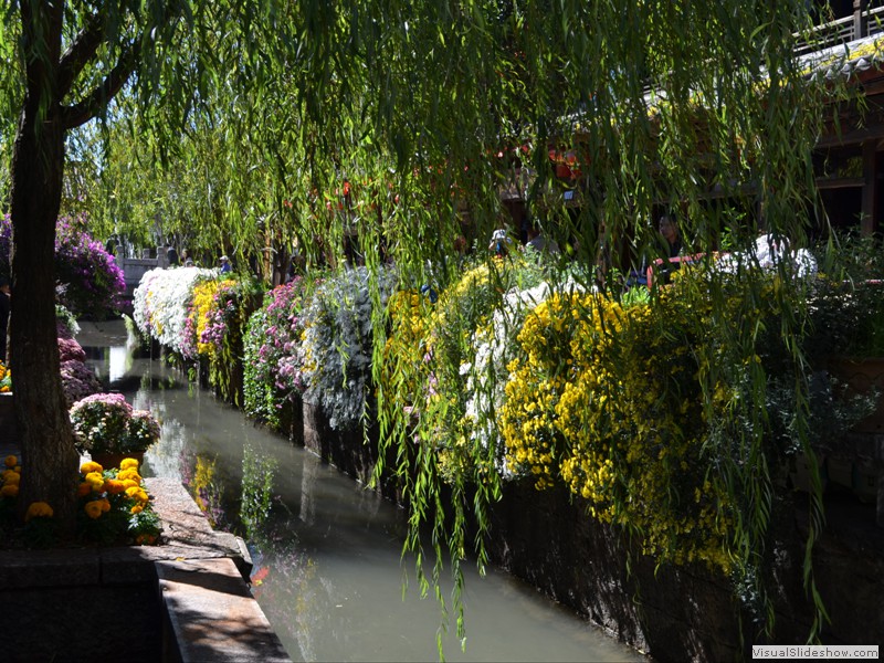 More flowers cascading along the stream.