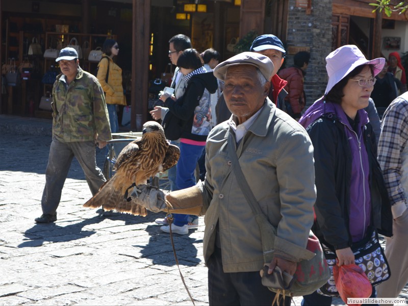 An old man with his hawk.