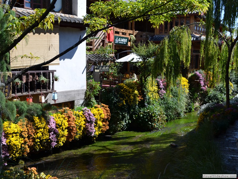 Cascading flowers along the flowing stream...