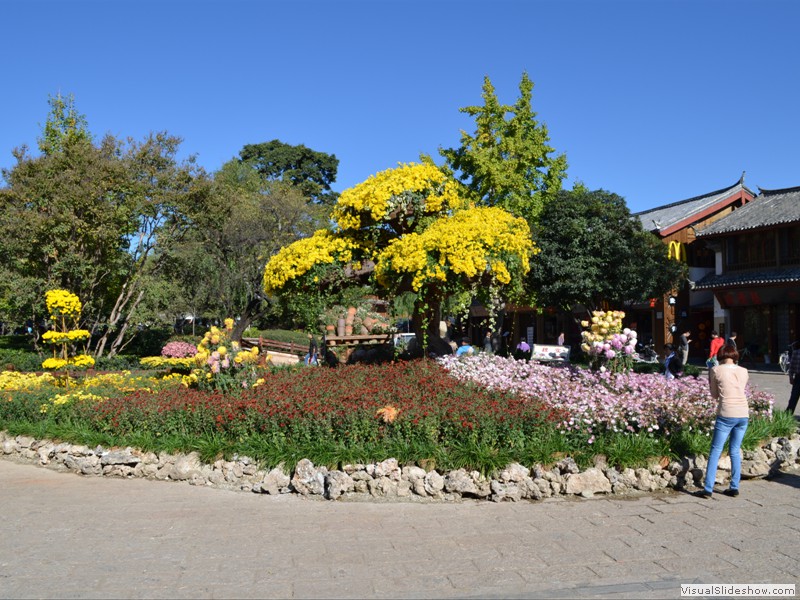 Flowers in the town square.