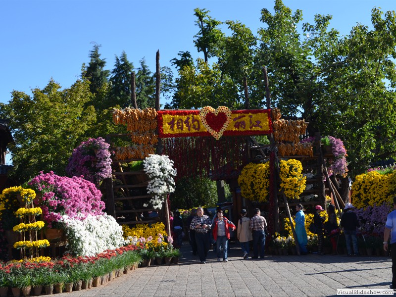 And still more of the flowers in the square.