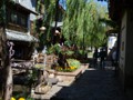 A view of one of the many streets in town.