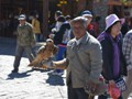 An old man with his hawk.