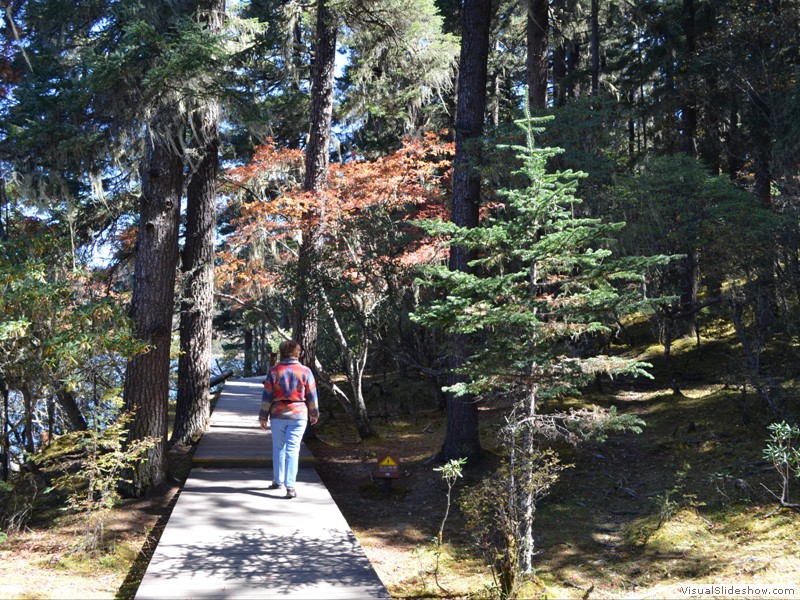The path along the lake is beautiful.