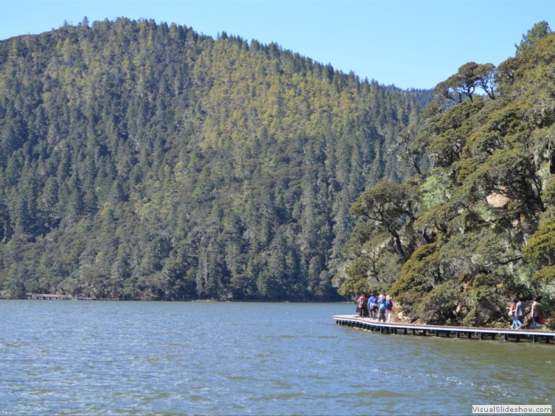 The walkway goes all the way around the lake.