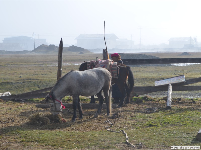 A Tibetian woman getting her horse ready to go for a ride.