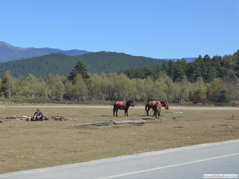 Some of the local horseback people taking a break.