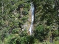 A small waterfall flows into the stream.