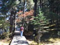 The path along the lake is beautiful.