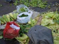 Corn being sold by the street vendors