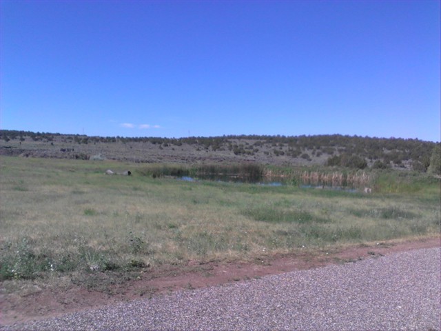 Chaco Lodge Hacienda Trout Pond